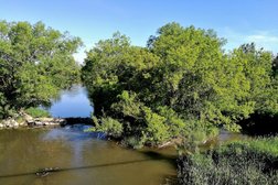 Drumquin Park: Creek Restoration Project in Milton
