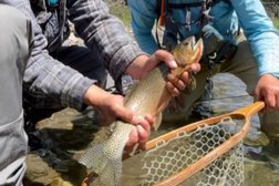 Squatchy Waters Fly Fishing Inc Photo