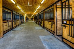 Sarkis Equine in Guelph