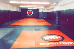 Mamute Martial Arts Academy - Oshawa, ON Photo