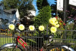 The Pedaler Cycling Tours Photo