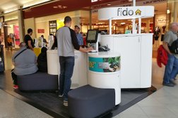 Fido in Montreal