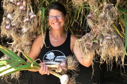 Bradner Hills Farm - Garlic  Photo