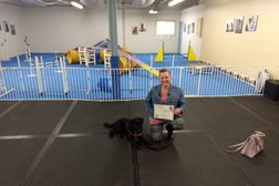 Impressive Canines - Professional Dog Training & Behaviour Therapy in Kitchener