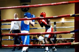 Red Deer Boxing Club Photo