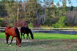 Roundabout Equestrian Center Photo