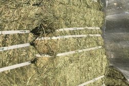 TNT Hay Sales in Abbotsford
