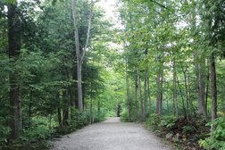 Crawford Lake Conservation Area in Milton