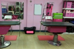 A Royal Touch Pooch Parlour Ltd. in Calgary