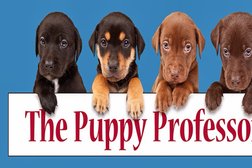 The Puppy Professors Photo