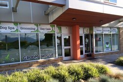 Groom House Daycare & Pet Salon in Vancouver