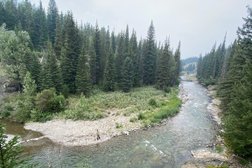 Fly Fishing Bow River Outfitters Photo