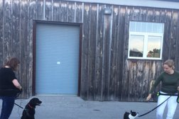 One Leg Up Canine Co. - Milton Dog Training Photo