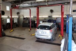 Savasta Automotive Repair Inc Photo