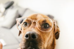 Frédérique Tétro éducatrice Canine Photo