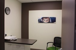 Rutherford Veterinary Clinic Photo