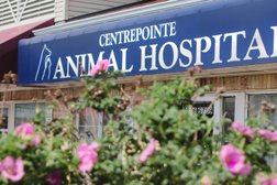 Centrepointe Animal Hospital Photo