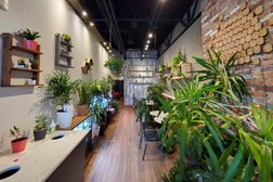 Urban Plant Cafe Photo