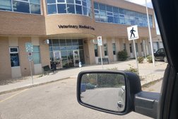 WCVM Small Animal Clinic (Veterinary Medical Centre) in Saskatoon