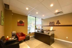 Elgin Massage Therapy Clinic, Acupuncture and Spa in Ottawa