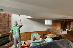 Turtle Painting (Interior/Exterior Painting & Staining) in Barrie