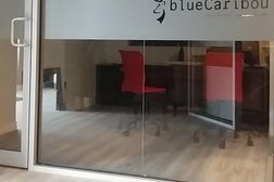 blueCaribou Chartered Accountants Photo