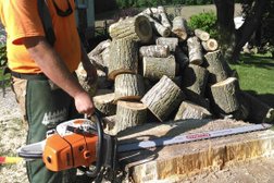 Grenacres Tree Removal Services, Arborist Services in Milton