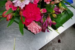 Floral Creations in Hamilton