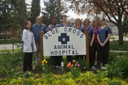 Blue Cross Animal Hospital in Kitchener