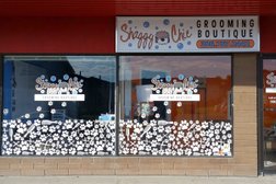Shaggy Chic Grooming Boutique in Regina
