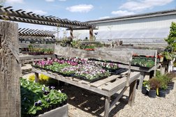 Boychuk Greenhouses Photo