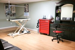 Oliver Professional Dog and Cat Grooming Spa in Winnipeg