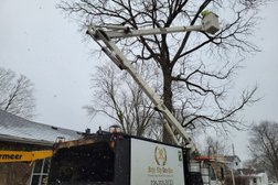 Royal City Tree Care in Guelph