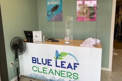 Blue Leaf Cleaners in Hamilton