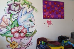 Miss J. Laés Fur Babies Cat Cafe in Winnipeg