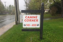 Canine Corner Photo