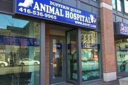 Dufferin Queen Animal Hospital in Toronto