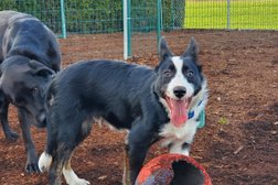 Green Acres Pet Care Centre in Abbotsford