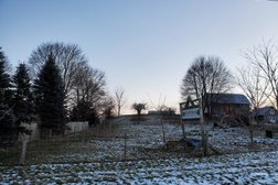 old 99 Farm Permaculture Site in Hamilton