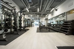 VIP Fitness & Lifestyle in Vancouver