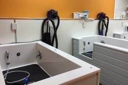 Canine Corral pet Grooming and self service dog wash in Calgary