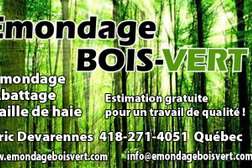 émondage BOIS-VERT in Quebec City