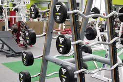 Everything Fitness in Guelph