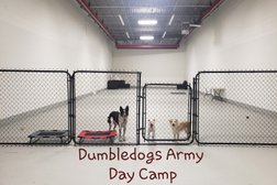 Dumbledogs Inc. Photo