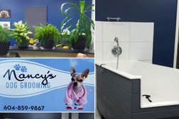 Nancys Dog Grooming in Abbotsford