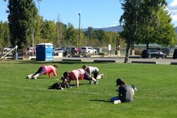 Canine Minds and Manners Dog Training in Calgary