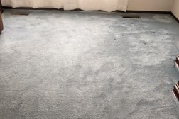 Mighty Clean Carpet Cleaning Photo