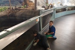 Fraser Valley Trout Hatchery & Visitor Centre in Abbotsford