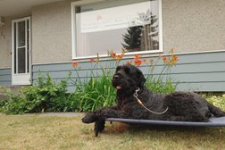 Canines Alberta Professional Dog Training Photo