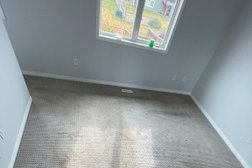 Grossbusters Carpet Cleaning Photo